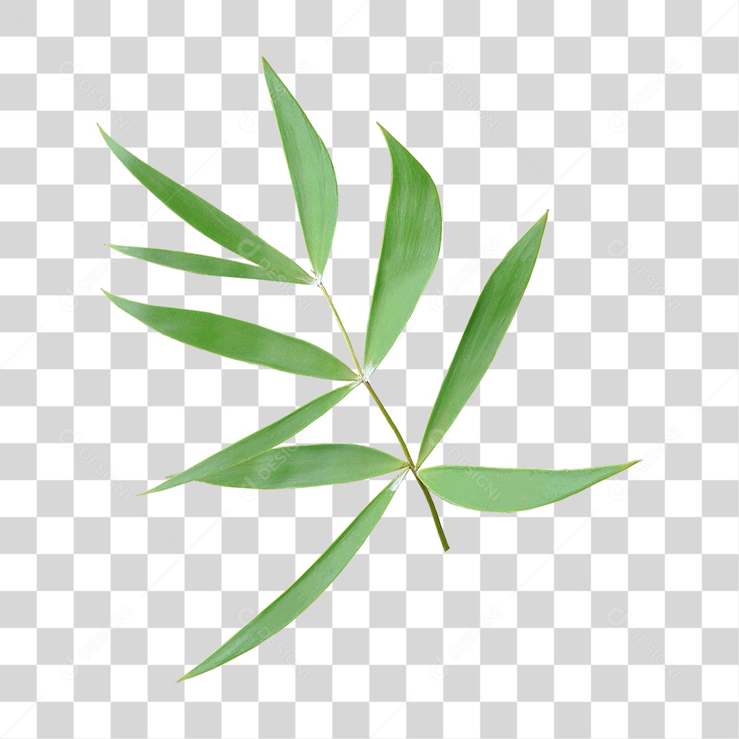 Planta Verde PNG Transparente