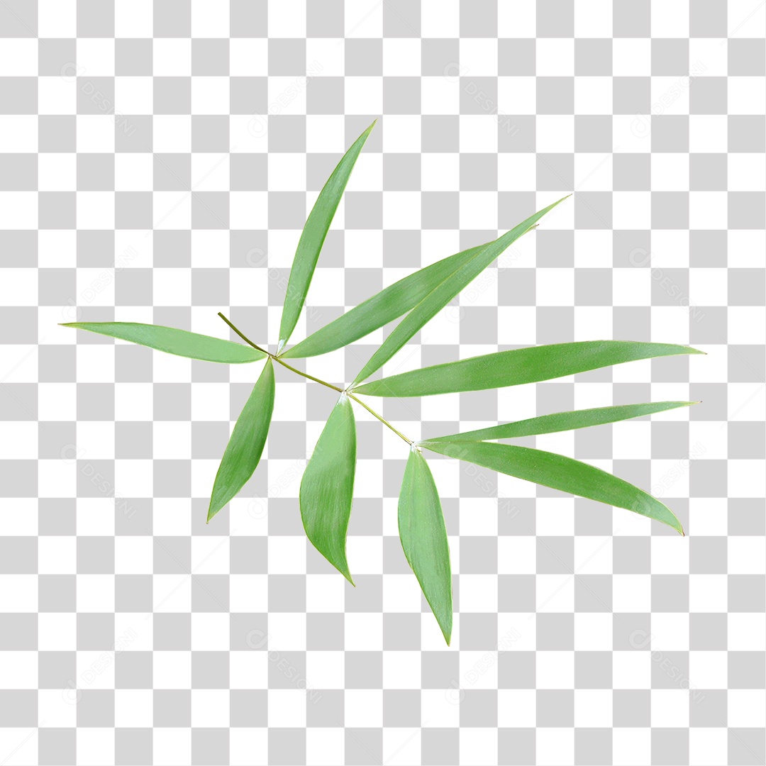 Planta Verde PNG Transparente