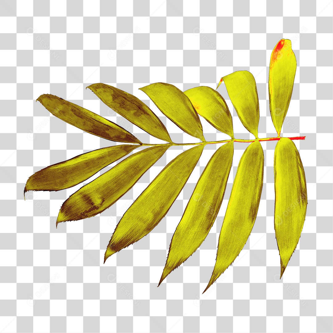 Planta Verde PNG Transparente
