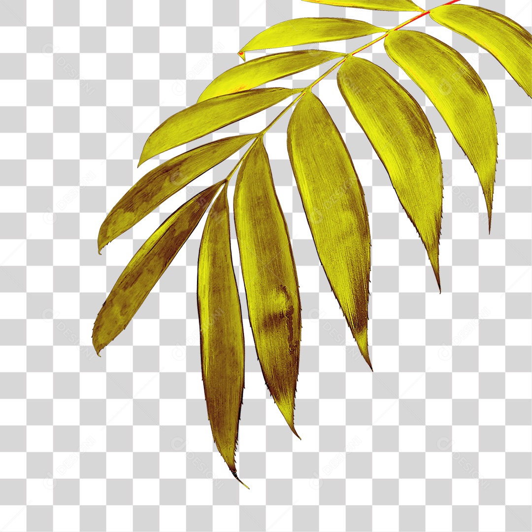 Planta Verde PNG Transparente