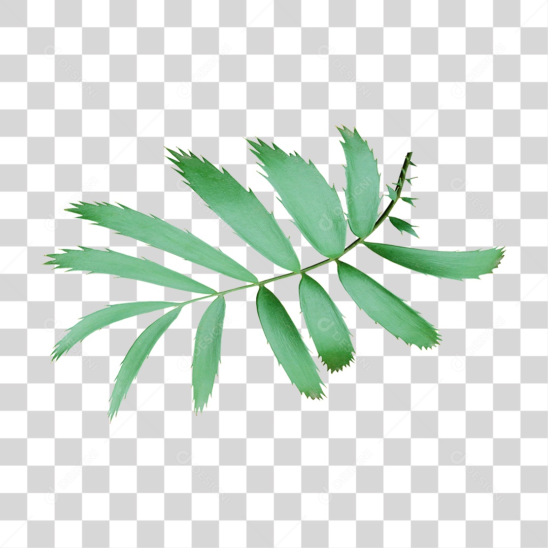 Planta Verde PNG Transparente