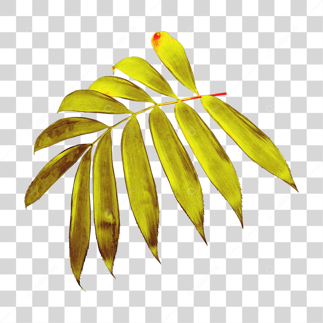 Planta Verde PNG Transparente