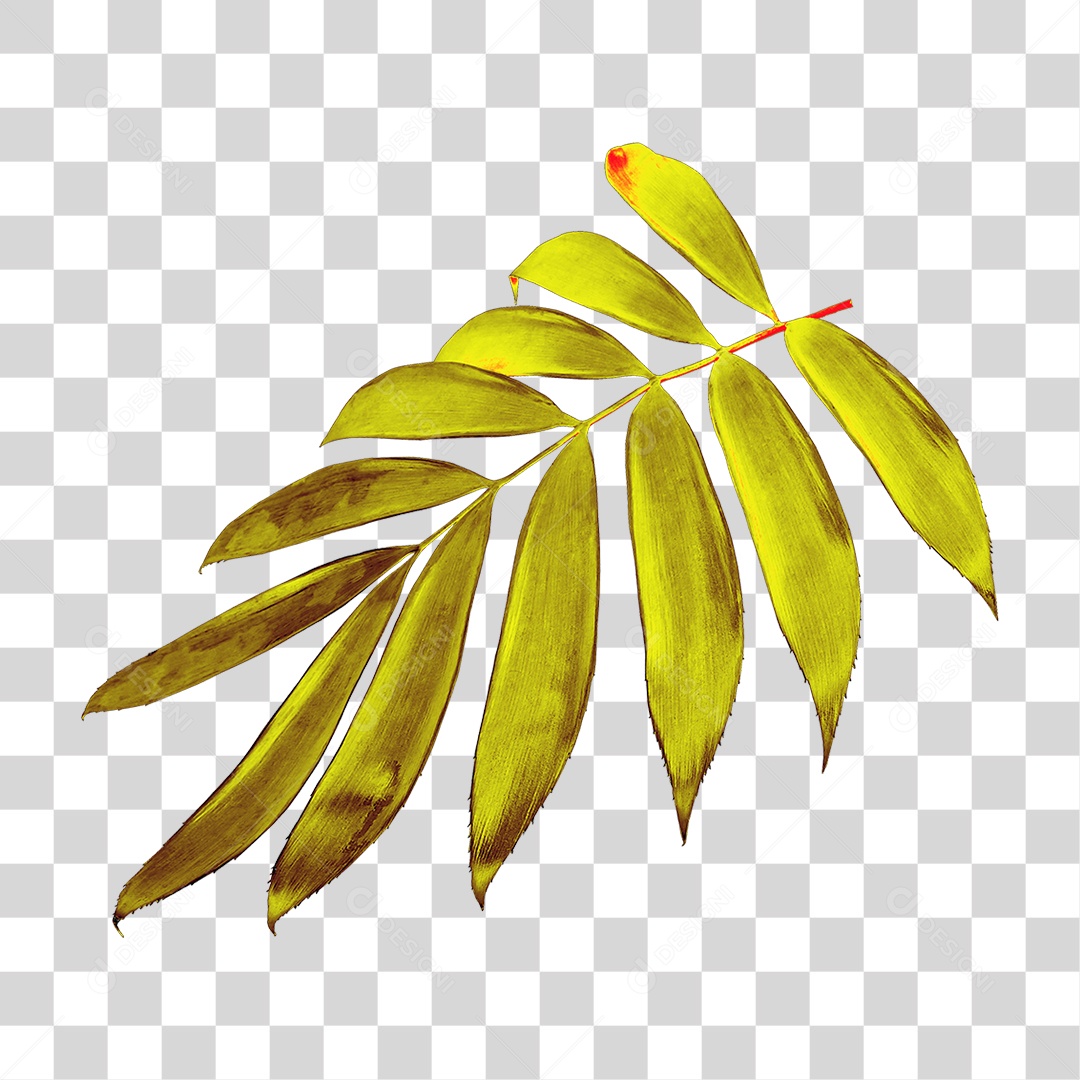 Planta Verde PNG Transparente