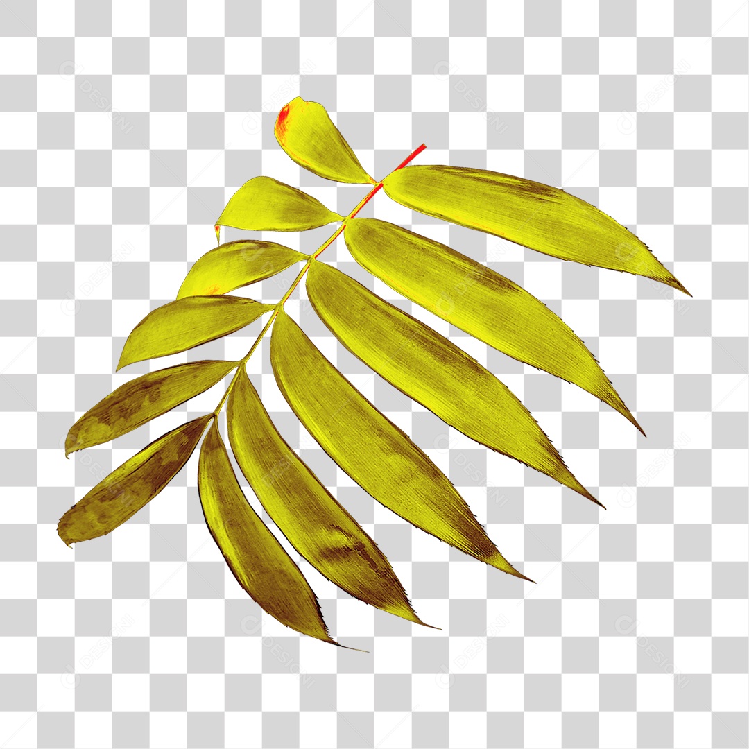 Planta Verde PNG Transparente