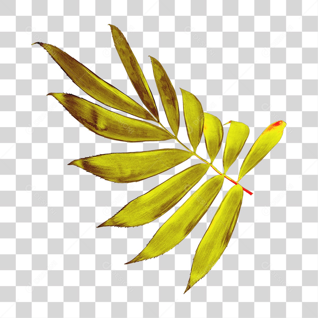 Planta Verde PNG Transparente