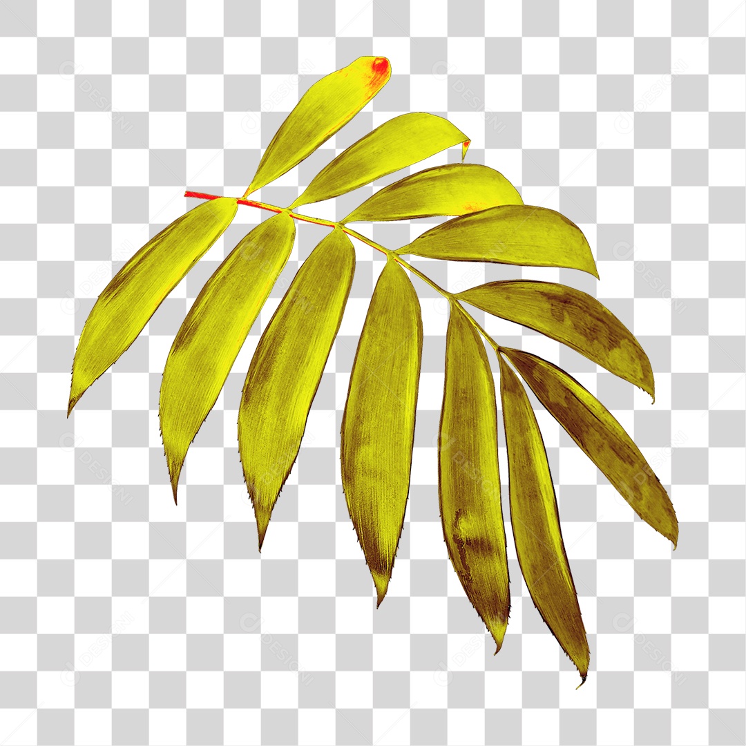 Planta Verde PNG Transparente