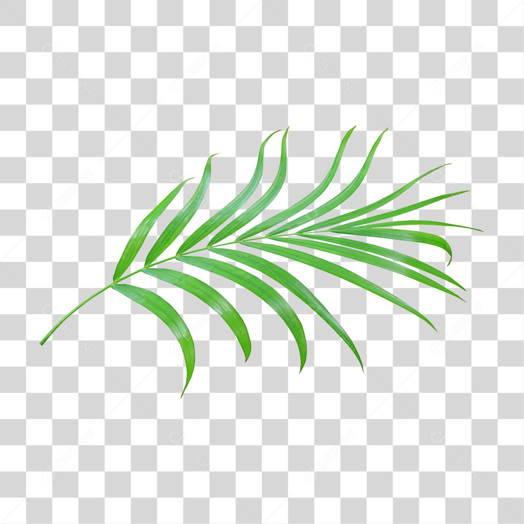 Planta Verde PNG Transparente