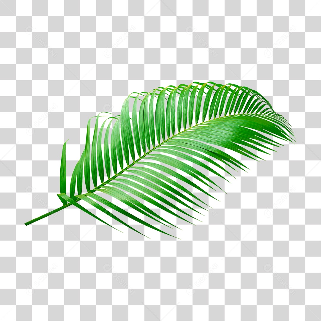 Planta Verde PNG Transparente