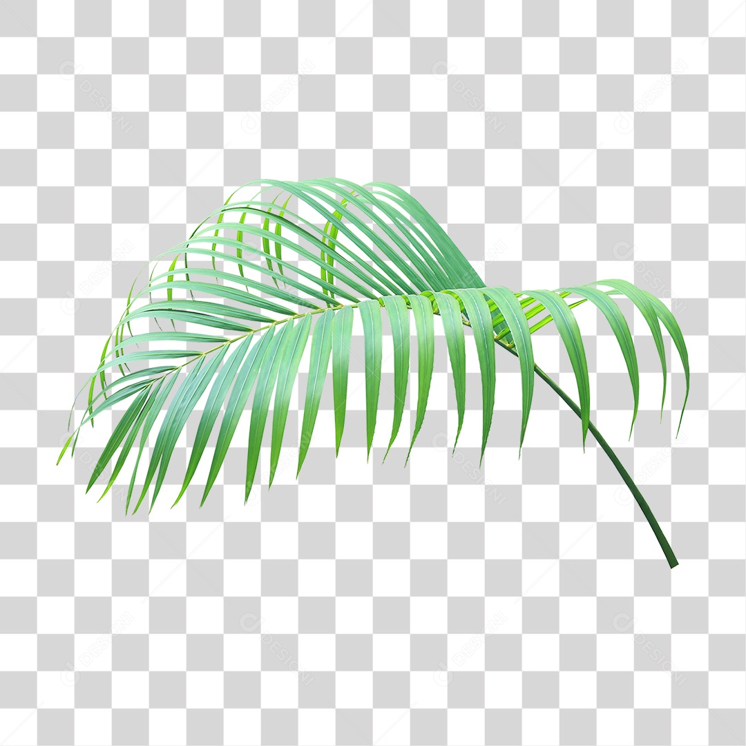 Planta Verde PNG Transparente