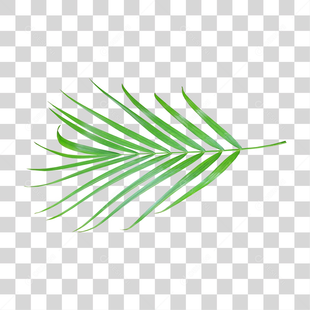 Planta Verde PNG Transparente