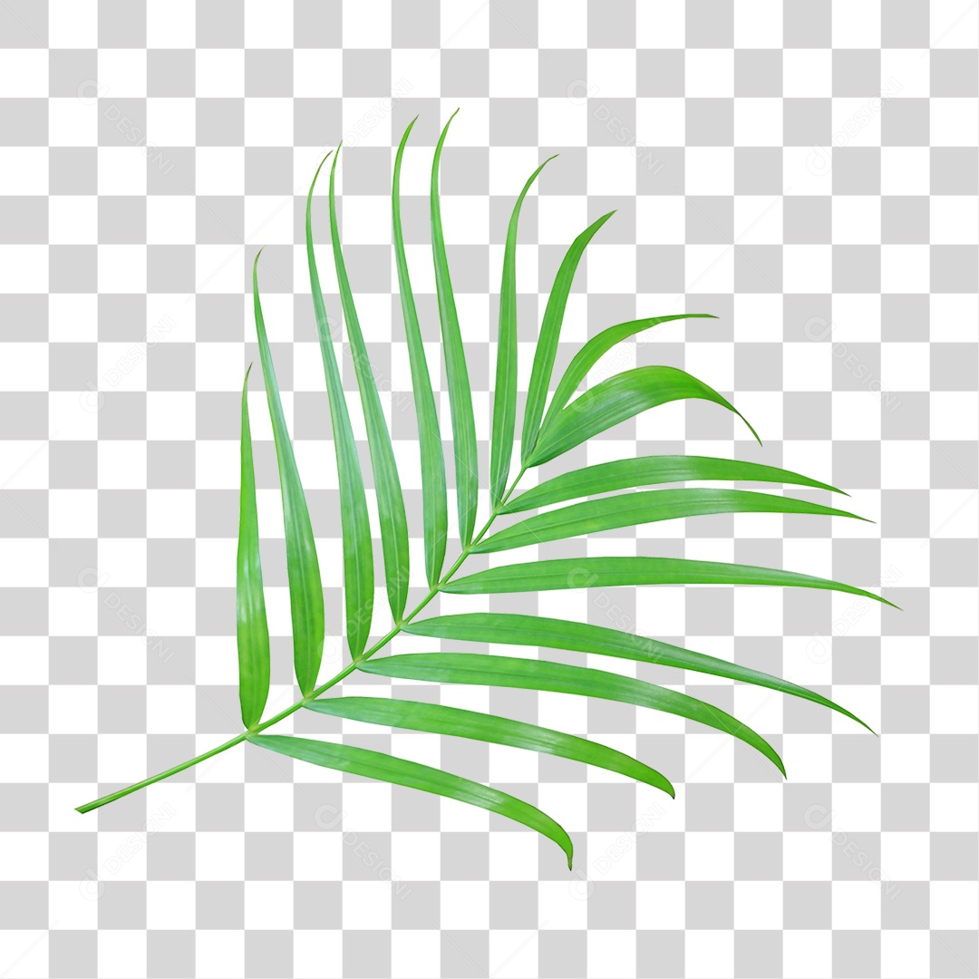 Planta Verde PNG Transparente