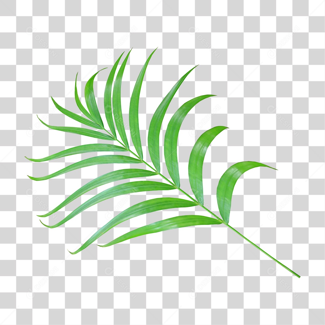 Planta Verde PNG Transparente