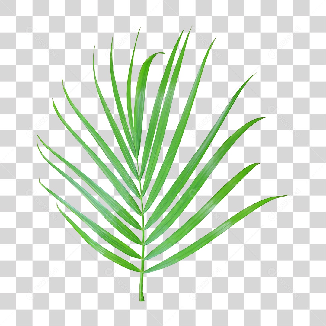 Planta Verde PNG Transparente