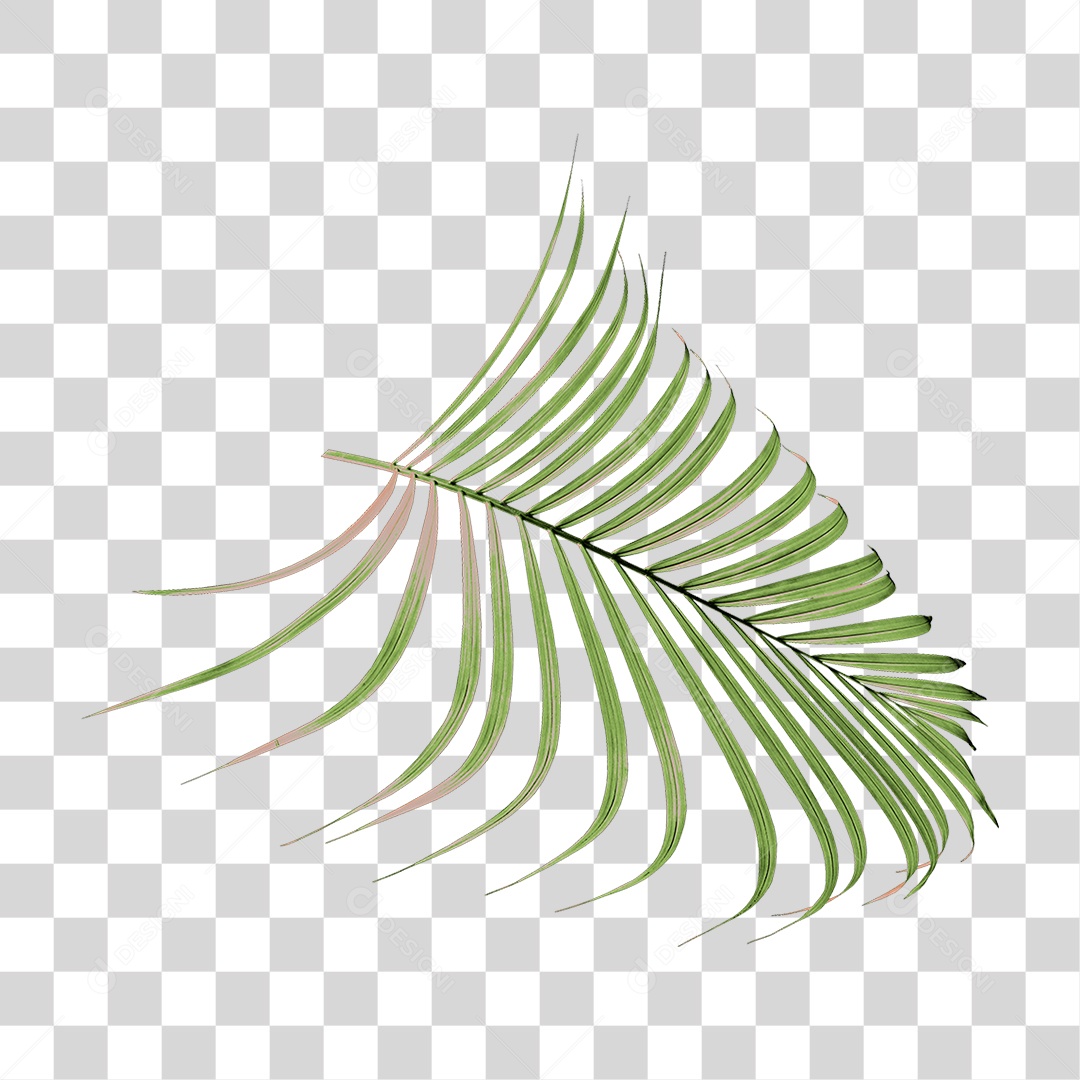 Planta Verde PNG Transparente