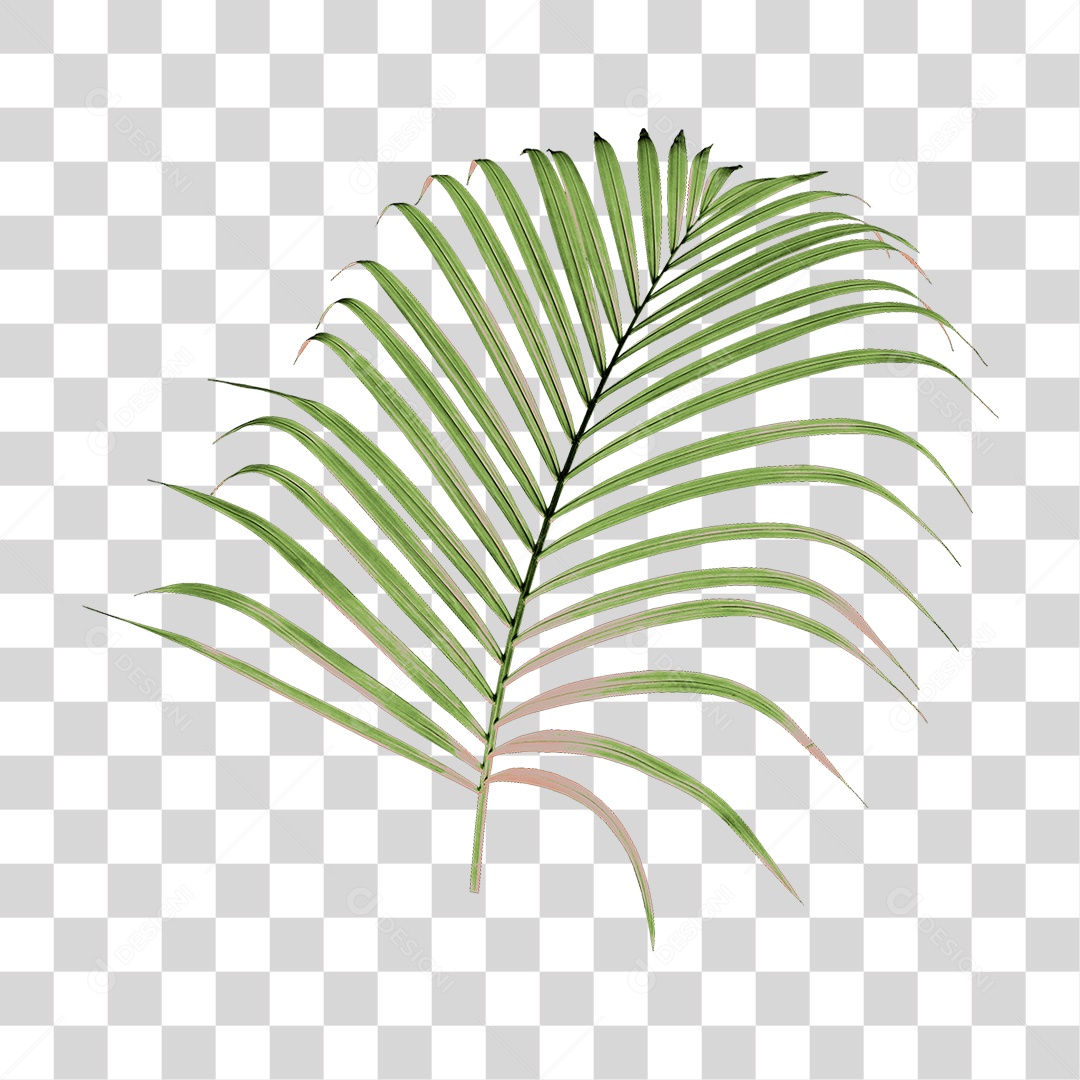Planta Verde PNG Transparente
