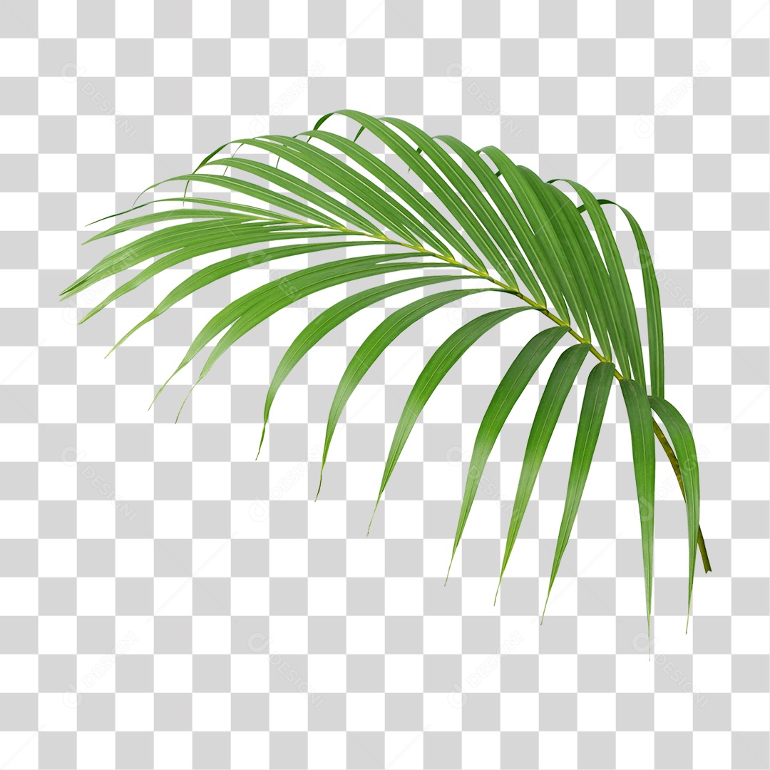 Planta Verde PNG Transparente