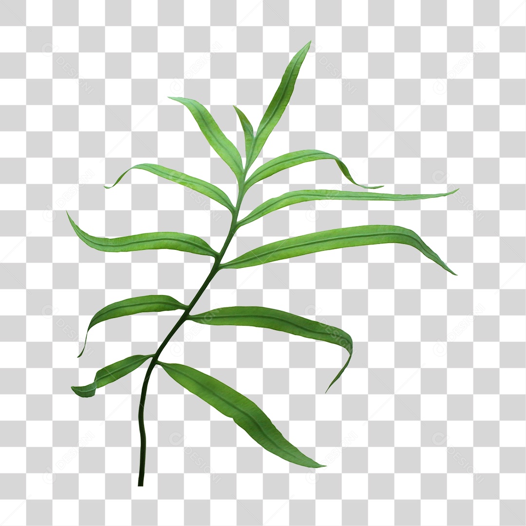 Planta Verde PNG Transparente