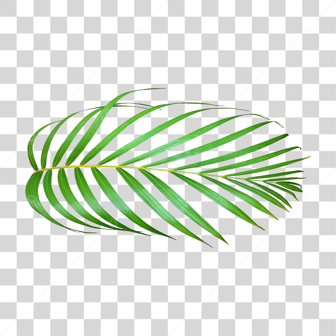 Planta Verde PNG Transparente