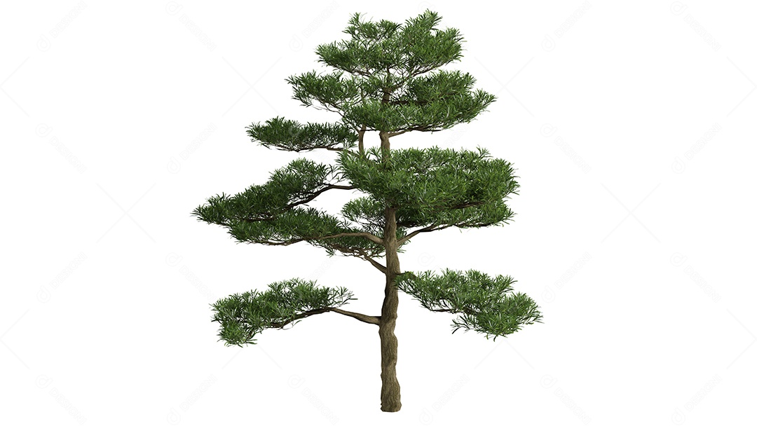 Cena de fundo de árvores 3D branca