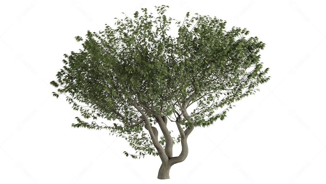 Cena de fundo de árvores 3D branca