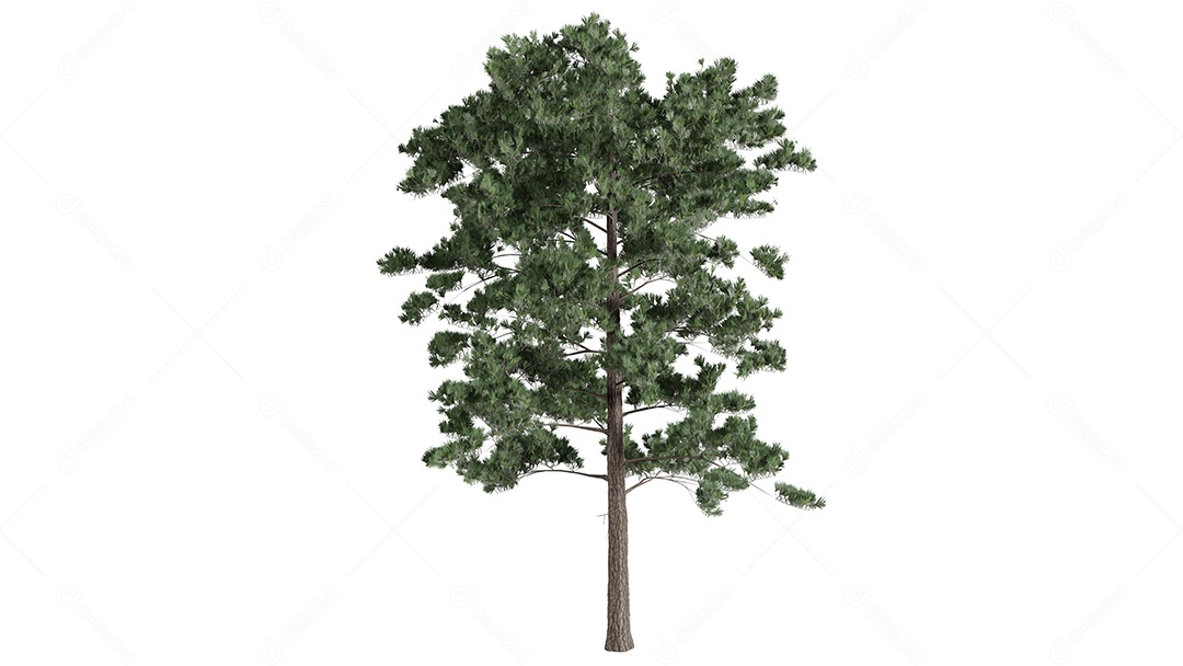 Cena de fundo de árvores 3D branca