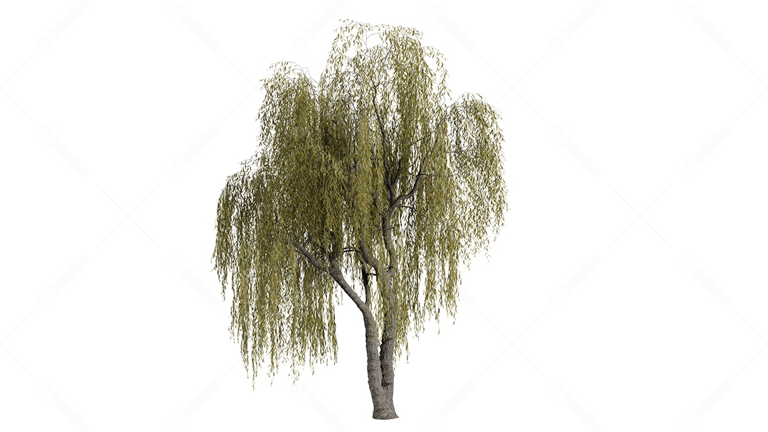 Cena de fundo de árvores 3D branca