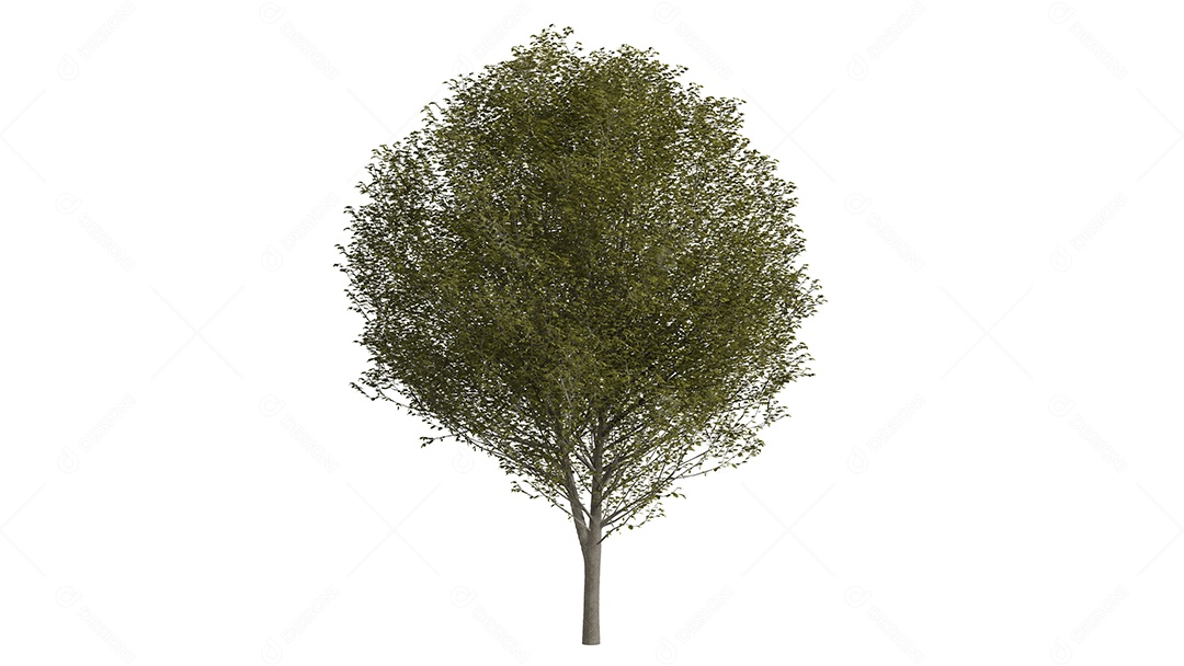 Cena de fundo de árvores 3D branca