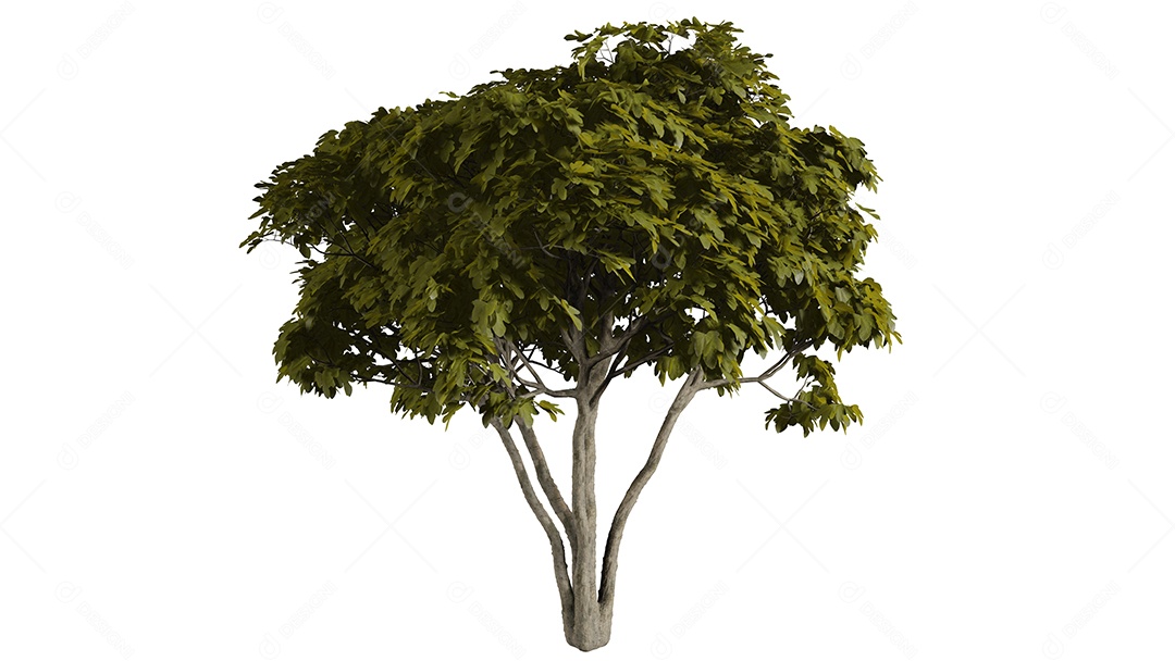 Cena de fundo de árvores 3D branca