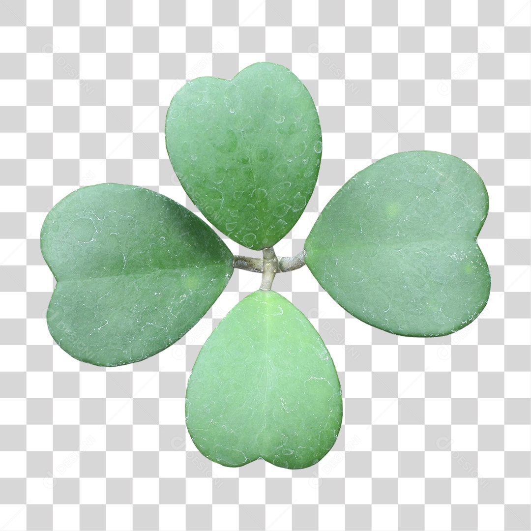 Planta Verde PNG Transparente