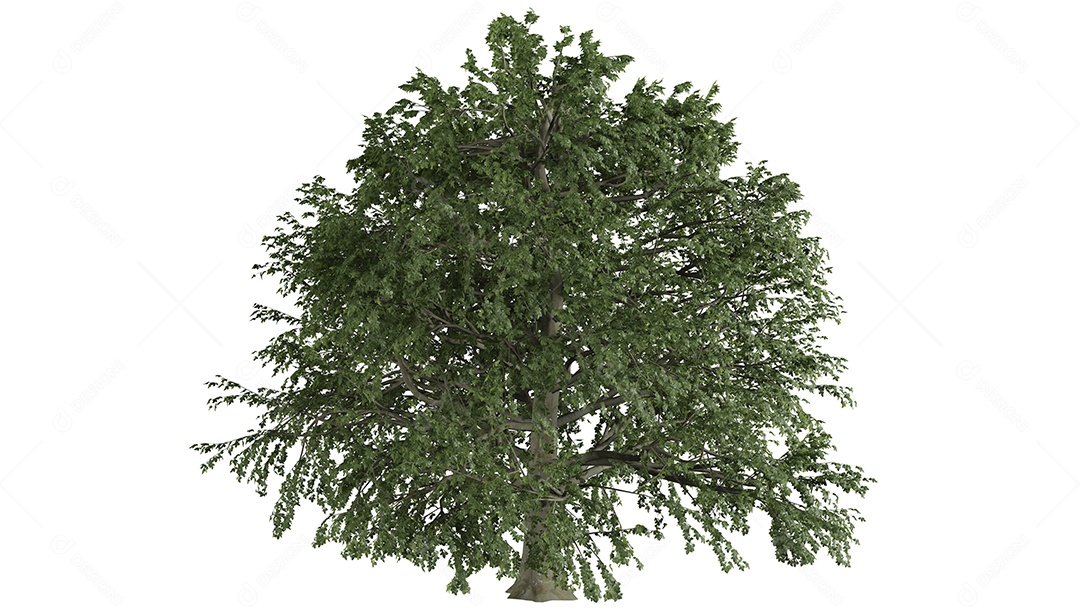 Cena de fundo de árvores 3D branca