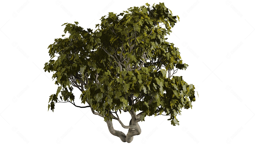 Cena de fundo de árvores 3D branca