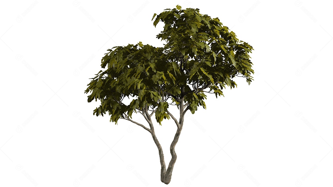 Cena de fundo de árvores 3D branca