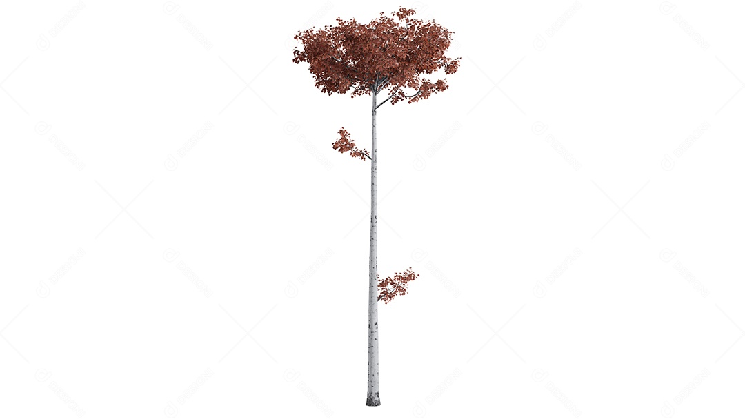 Cena de fundo de árvores 3D branca