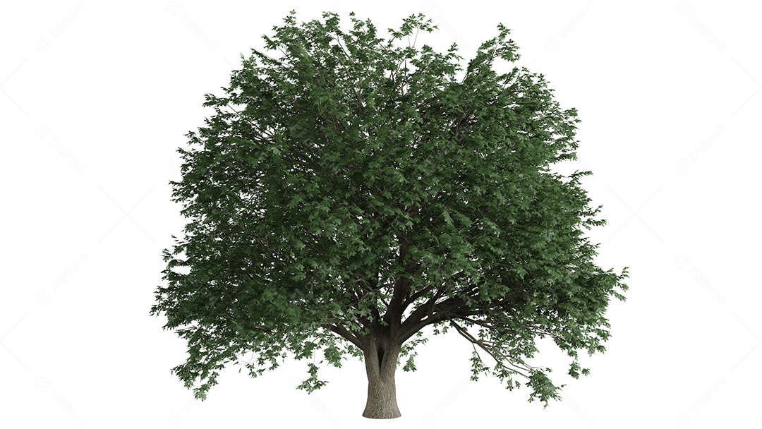 White 3D trees background scene