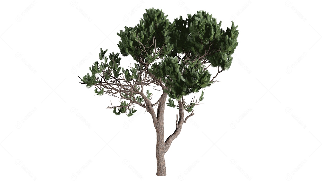 Cena de fundo de árvores 3D branca