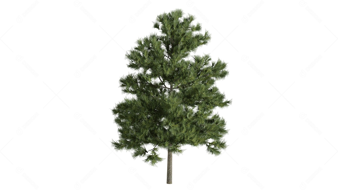 Cena de fundo de árvores 3D branca