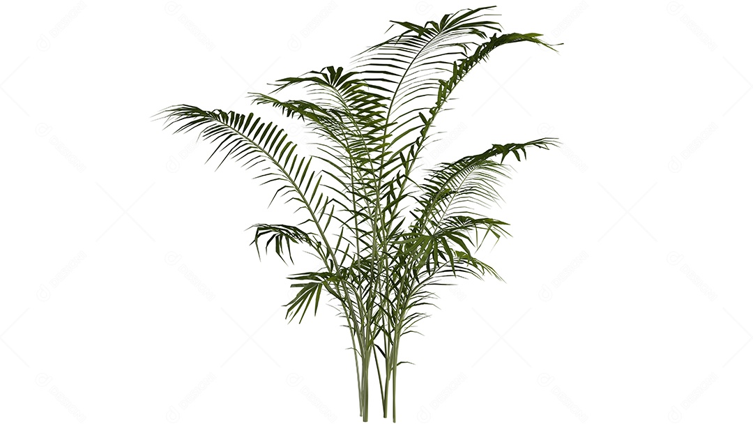 Cena de fundo de árvores 3D branca