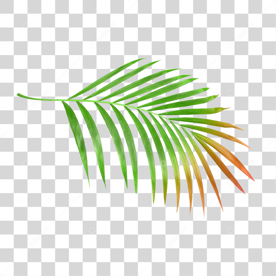 Folha Verde PNG Transparente