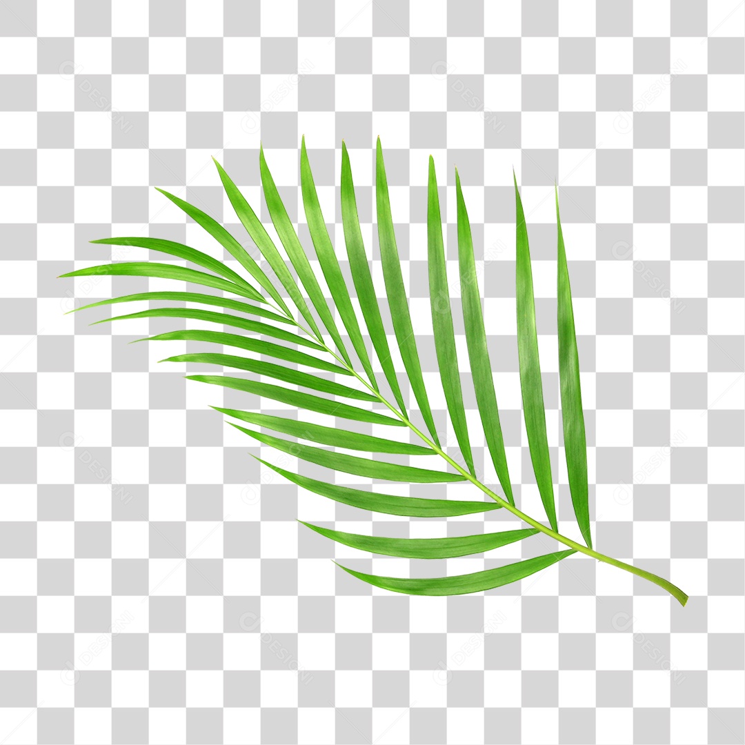 Folha Verde PNG Transparente