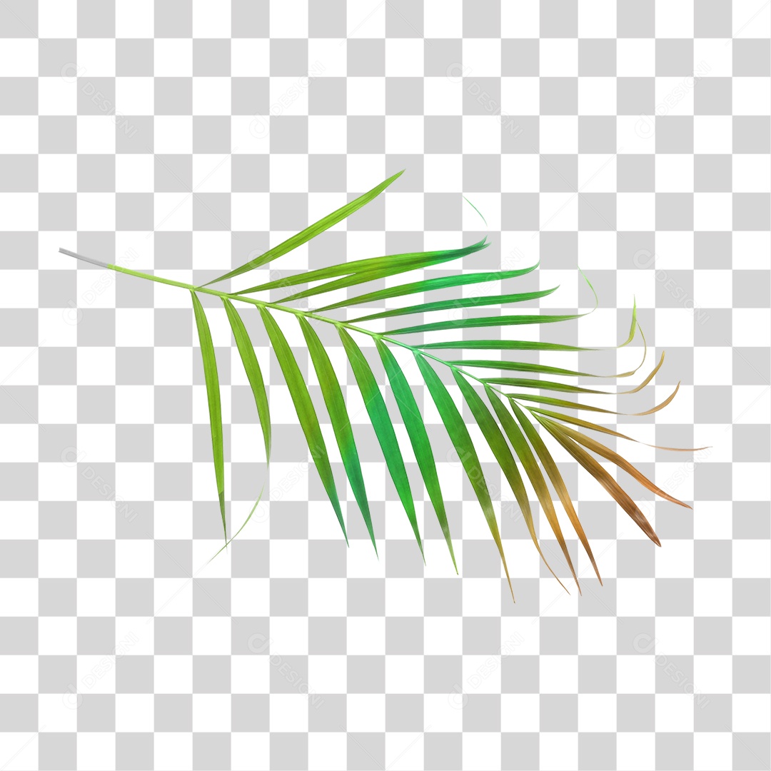 Folha Verde PNG Transparente