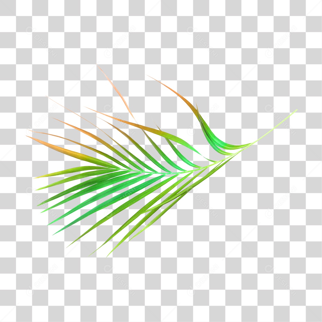 Folha Verde PNG Transparente