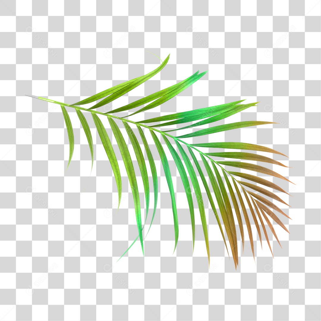 Folha Verde PNG Transparente