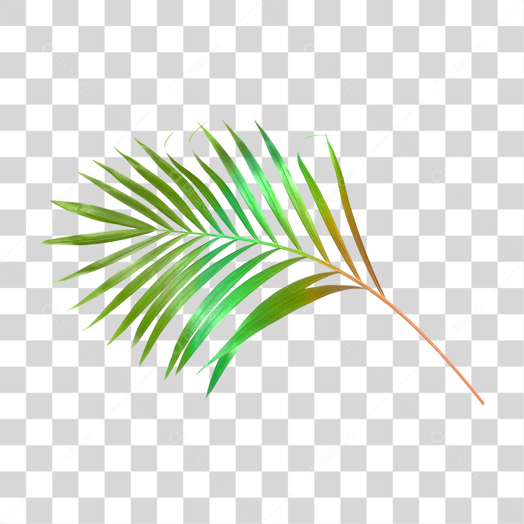 Folha Verde PNG Transparente