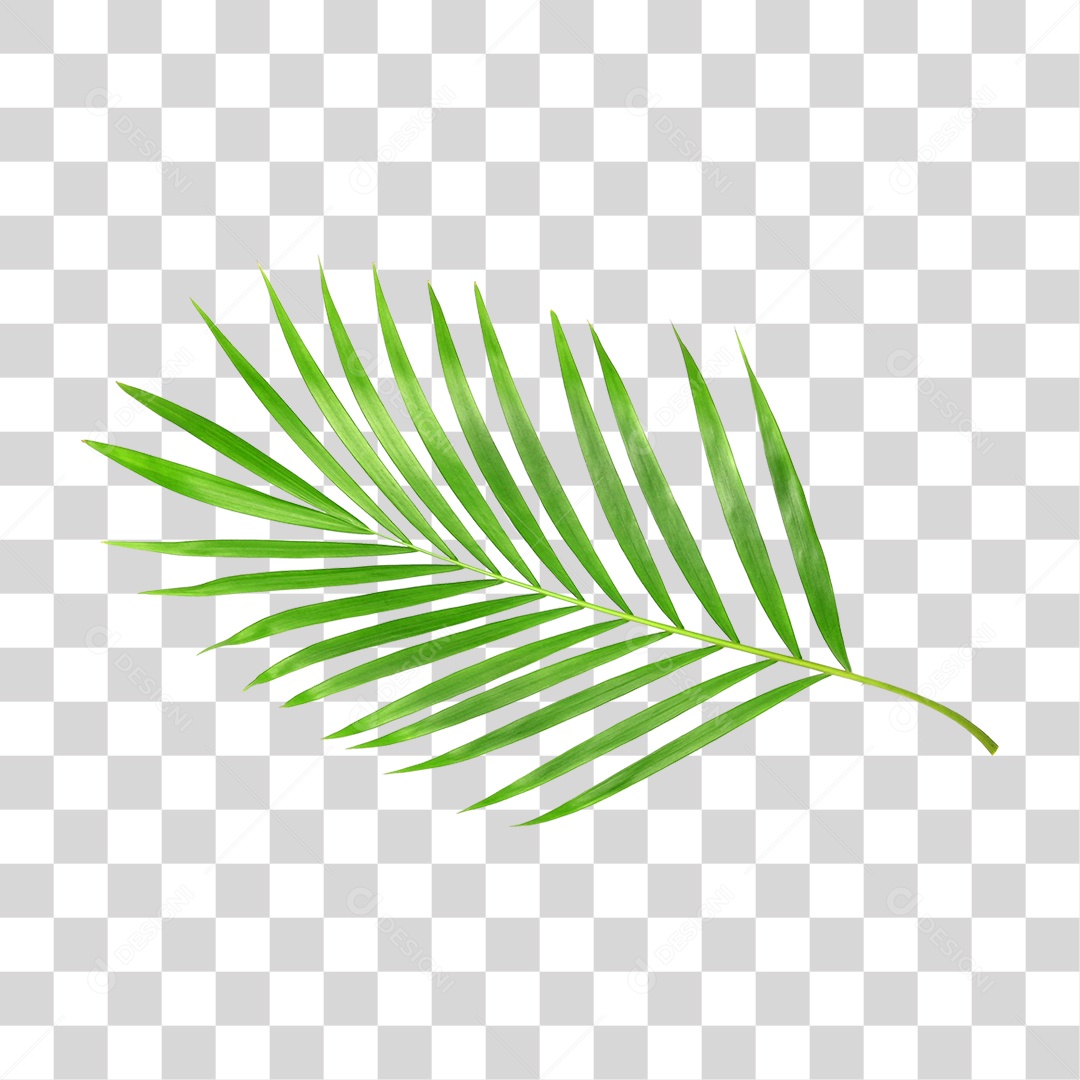 Folha Verde PNG Transparente