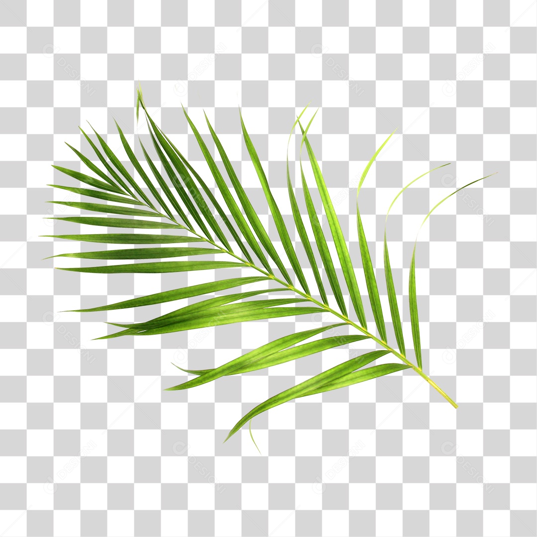 Folha Verde PNG Transparente