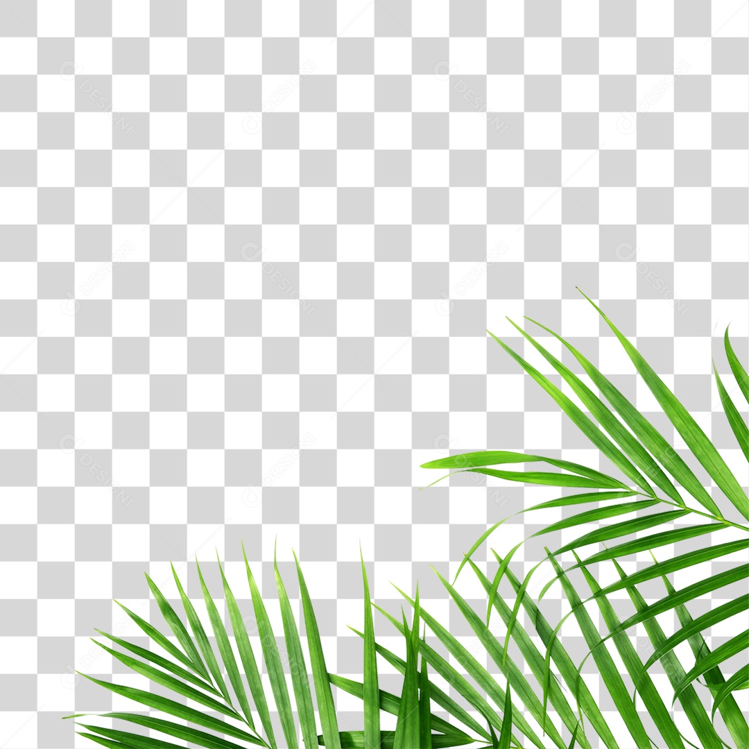 Folha Verde PNG Transparente