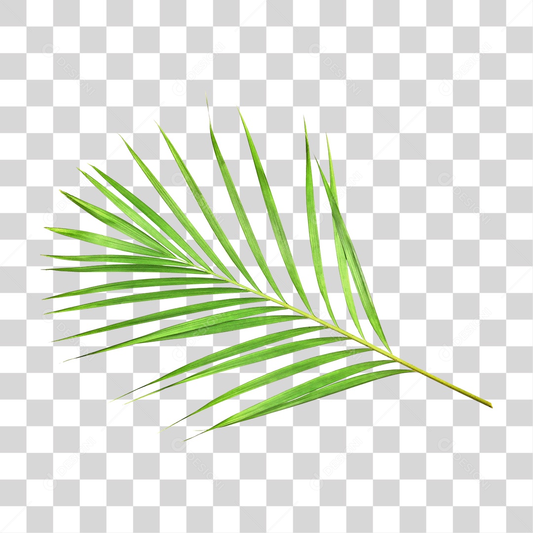 Folha Verde PNG Transparente