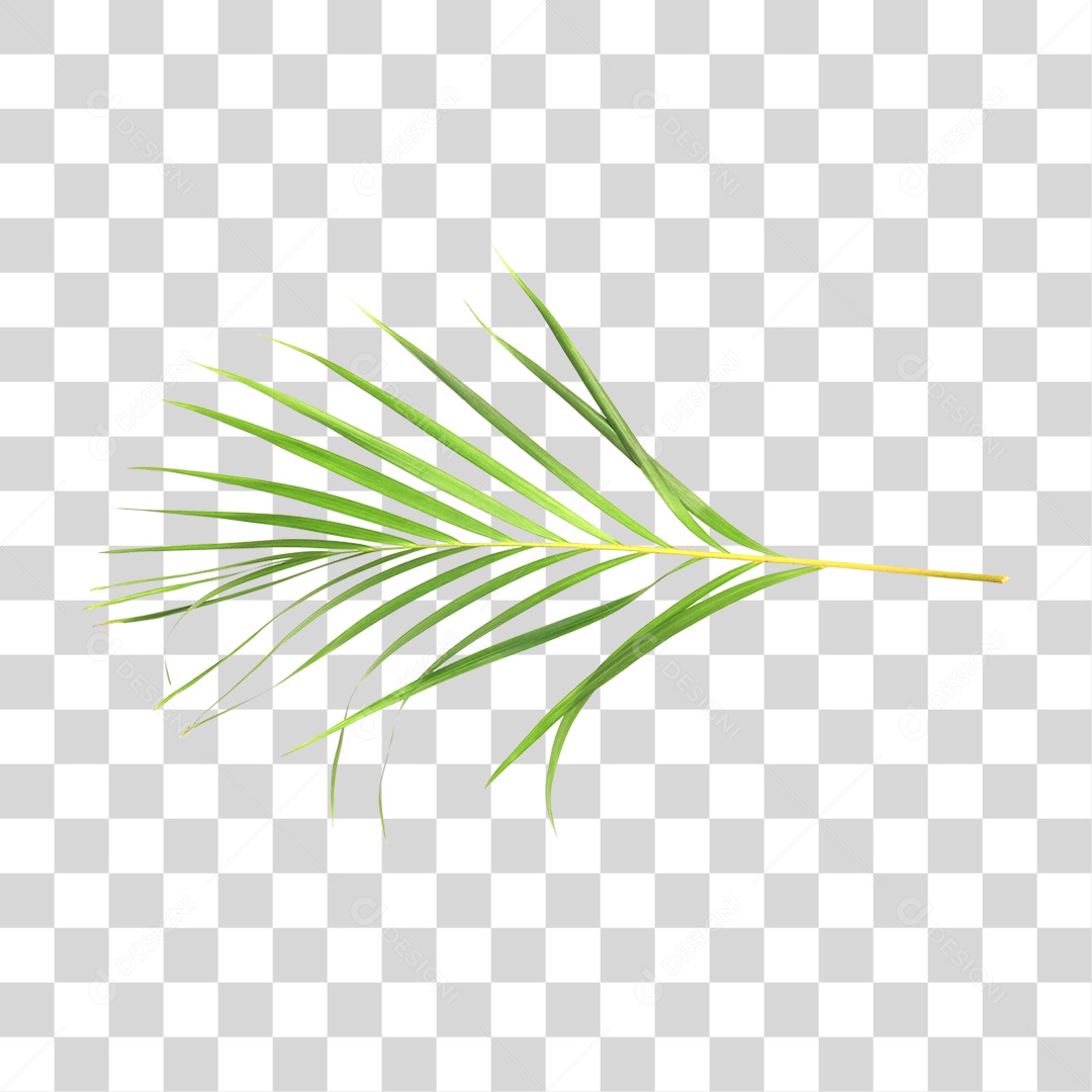 Folha Verde PNG Transparente