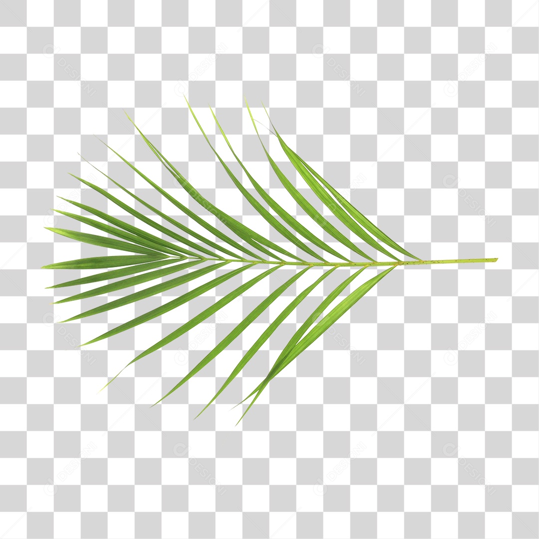 Folha Verde PNG Transparente