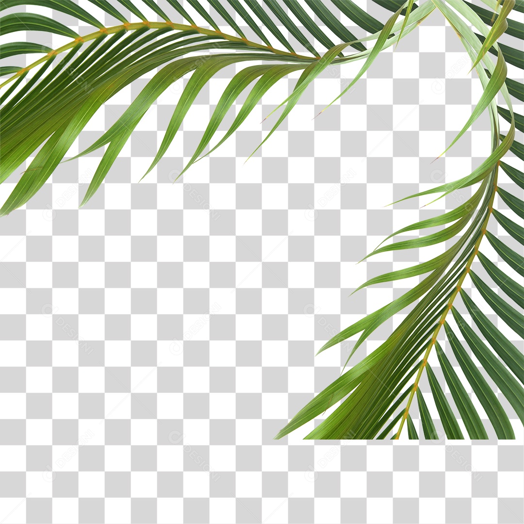 Folha Verde PNG Transparente